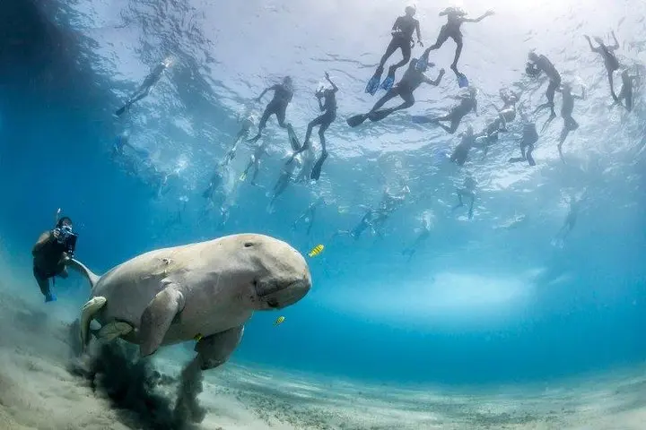 Marsa Alam