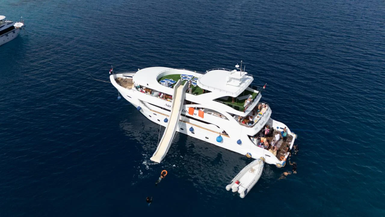 VIP boat to White Island and Ras Mohamed
