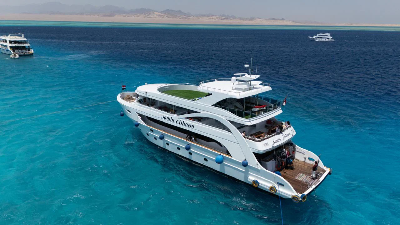 VIP boat to White Island and Ras Mohamed