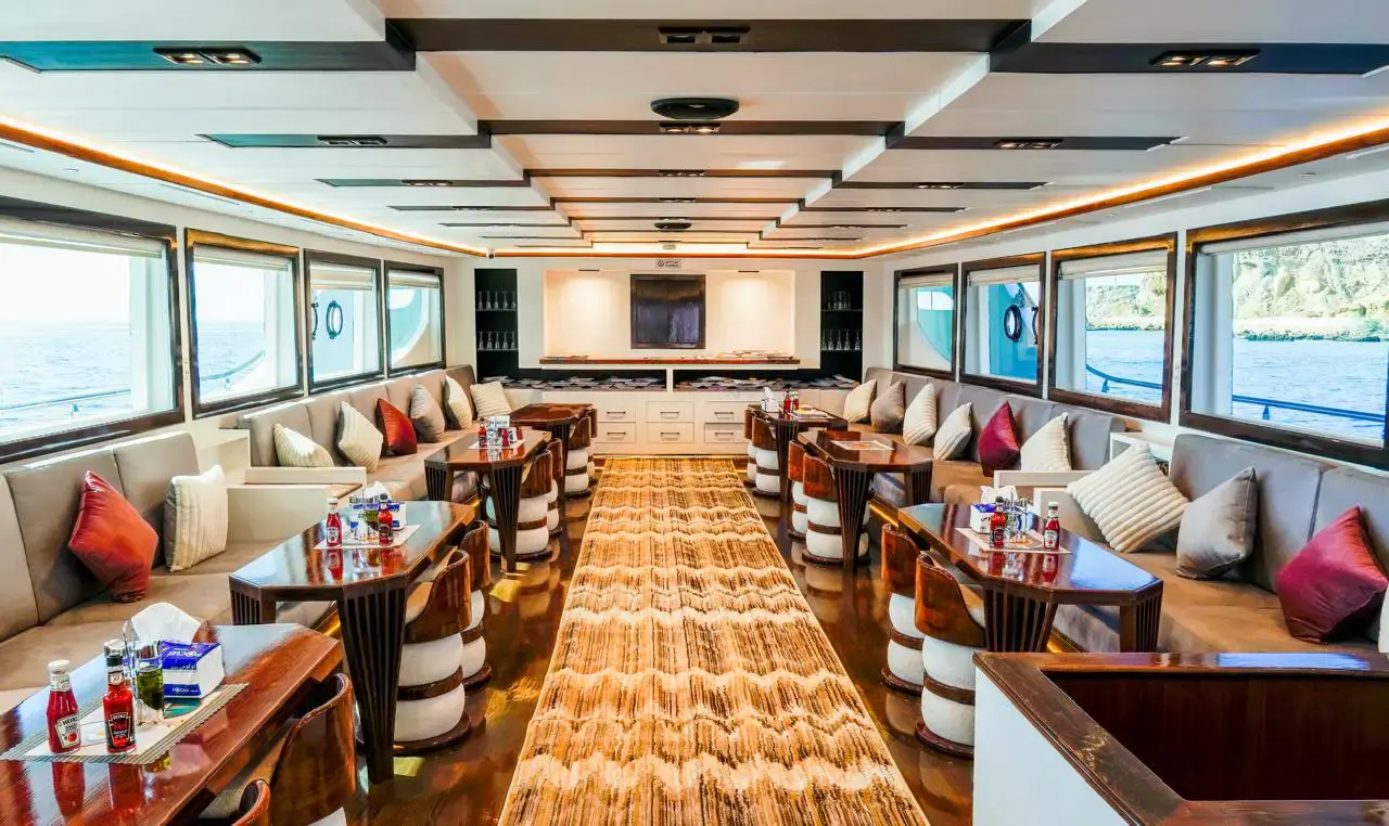 VIP boat to White Island and Ras Mohamed