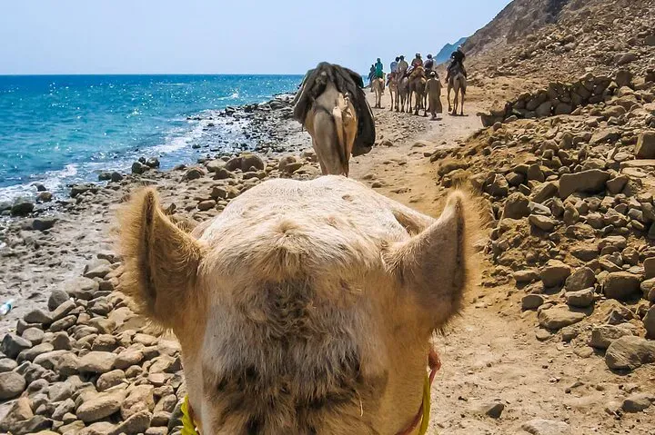 Laguna Blu Dahab
