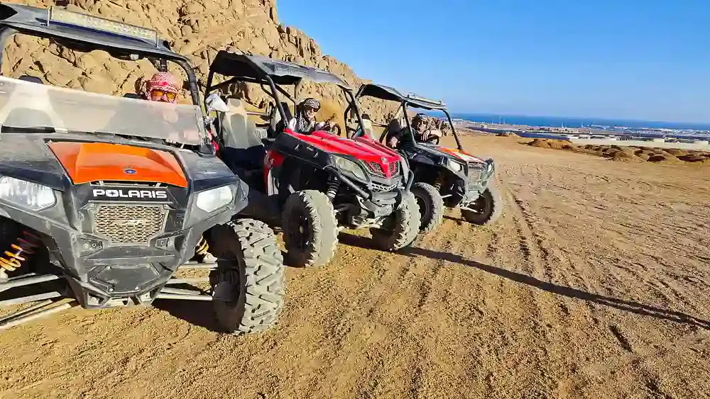 Buggy safari