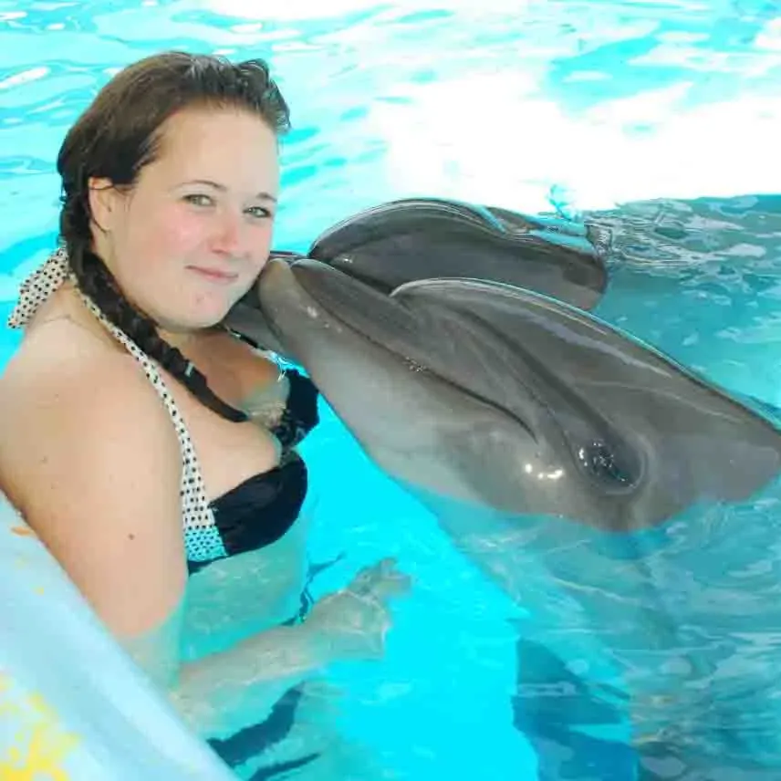 Дельфин шоу Шарм-эль-Шейх