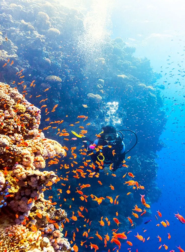Красное море, Египет