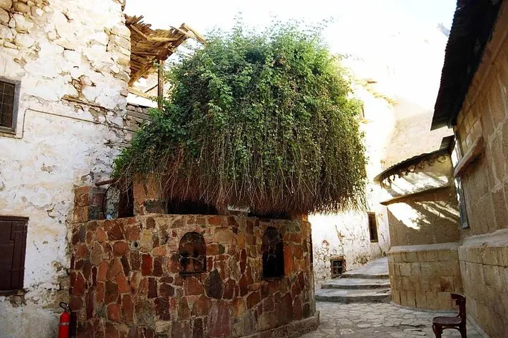 Musa Dağı Sina