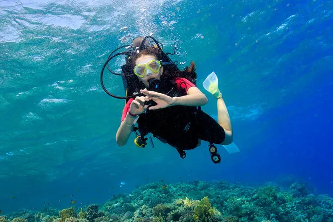 Corsi di immersione PADI Sharm El Sheikh