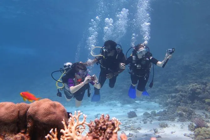 Corsi di immersione PADI Sharm El Sheikh