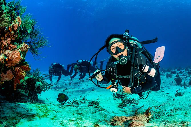 Corsi di immersione PADI Sharm El Sheikh