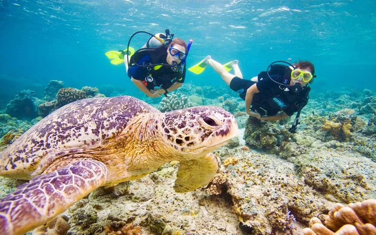 Corsi di immersione PADI Sharm El Sheikh