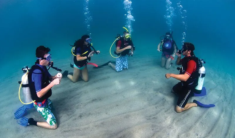 Corsi di immersione PADI Sharm El Sheikh