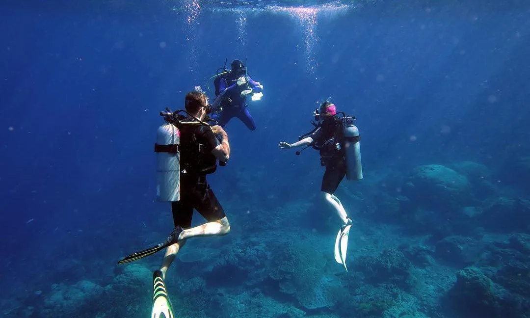 Corsi di immersione PADI Sharm El Sheikh