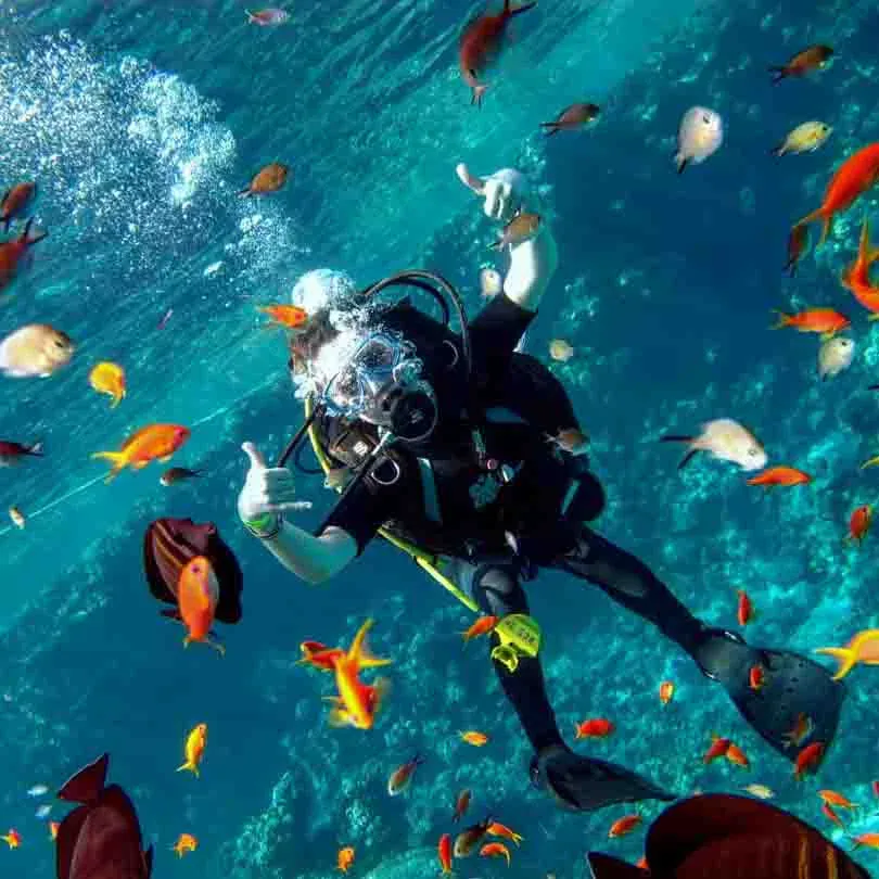 Corsi di immersione PADI Sharm El Sheikh