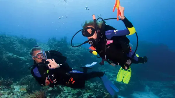 Corsi di immersione PADI Sharm El Sheikh