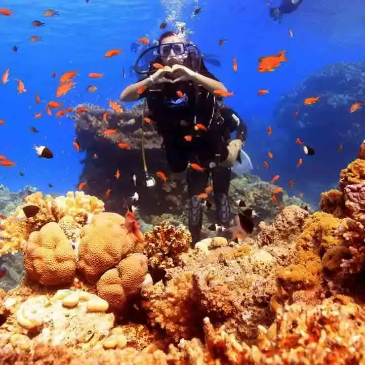 Corsi di immersione PADI Sharm El Sheikh