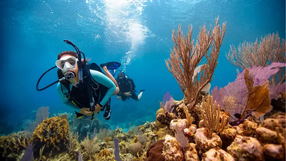 Corsi di immersione PADI Sharm El Sheikh