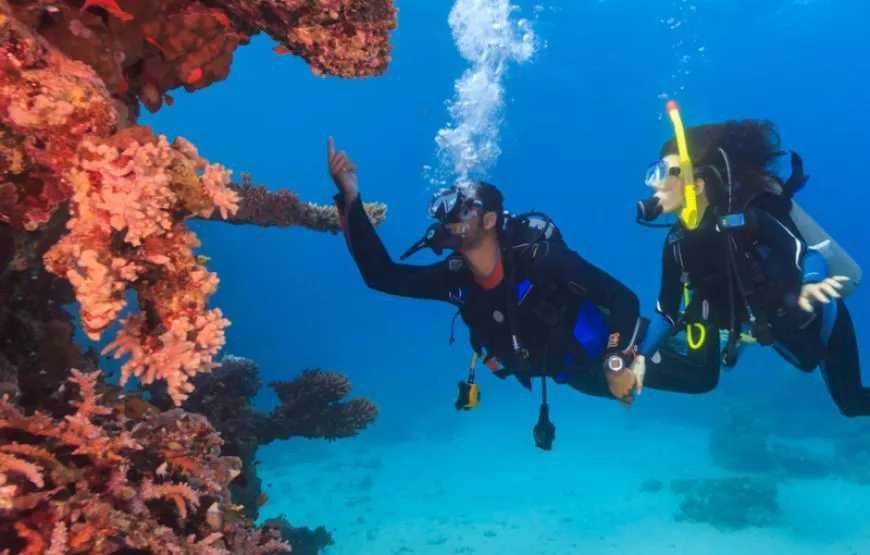 Corsi di immersione PADI Sharm El Sheikh
