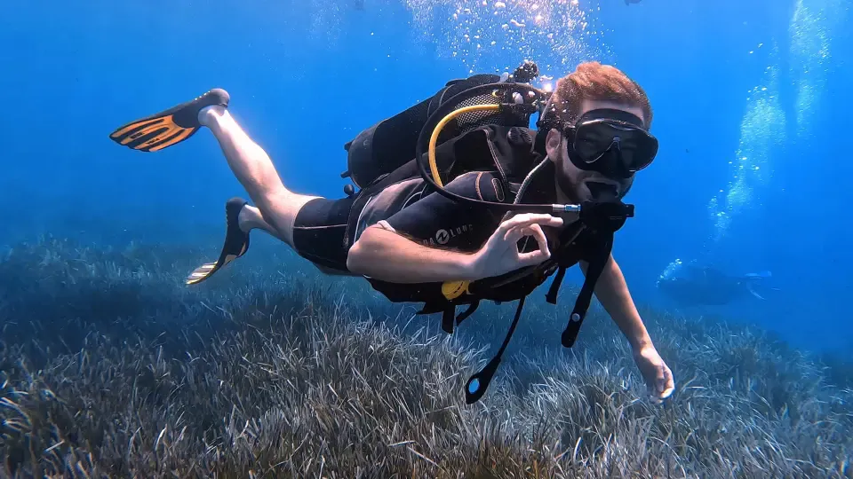 Corsi di immersione PADI Sharm El Sheikh