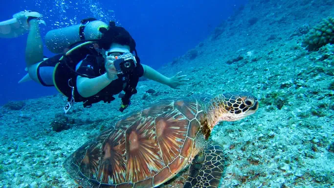 Corsi di immersione PADI Sharm El Sheikh