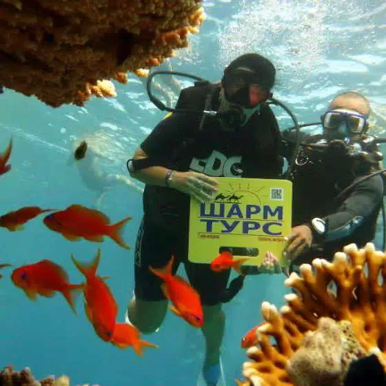 Corsi di immersione PADI Sharm El Sheikh