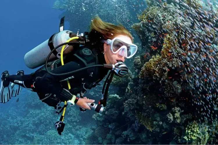 Corsi di immersione PADI Sharm El Sheikh