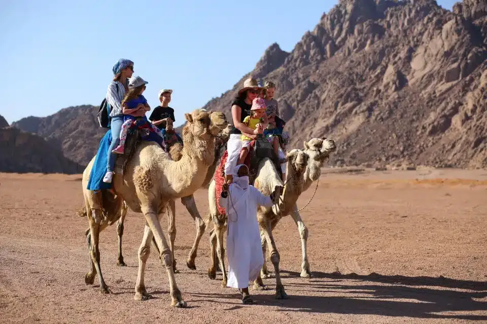 Safari in quad a Sharm El Sheikh
