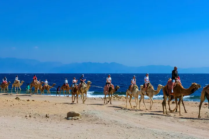 Salama Kızıl Kanyon Dahab