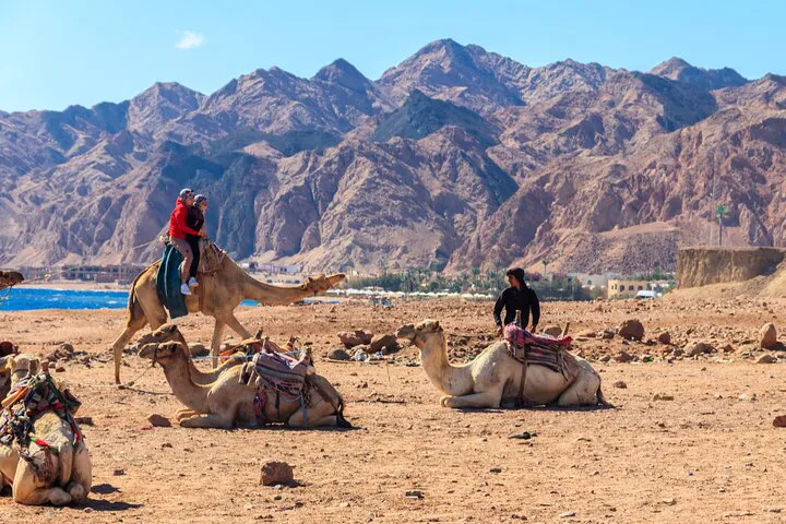 Salama Kızıl Kanyon Dahab