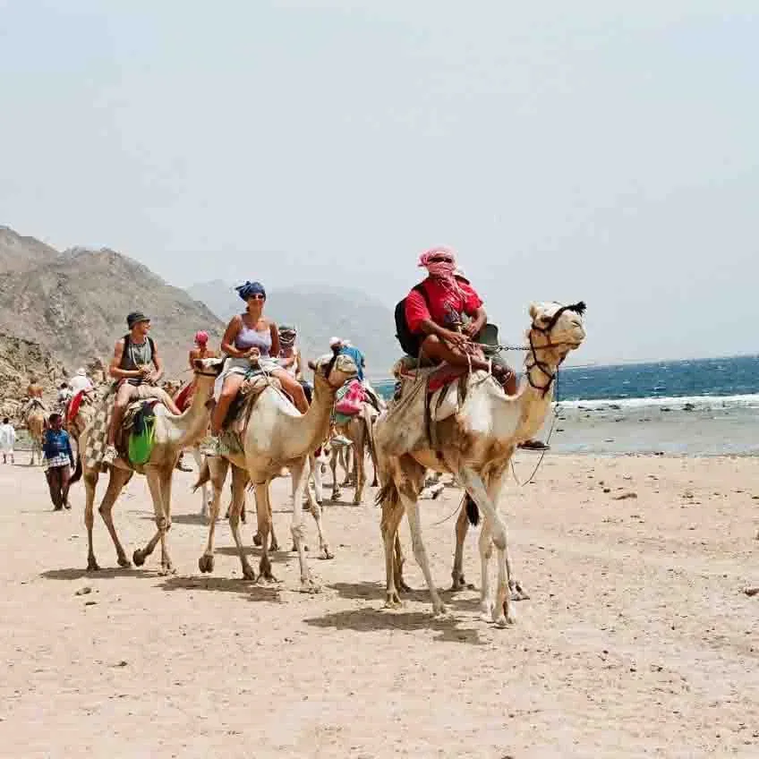 Salama Kızıl Kanyon Dahab