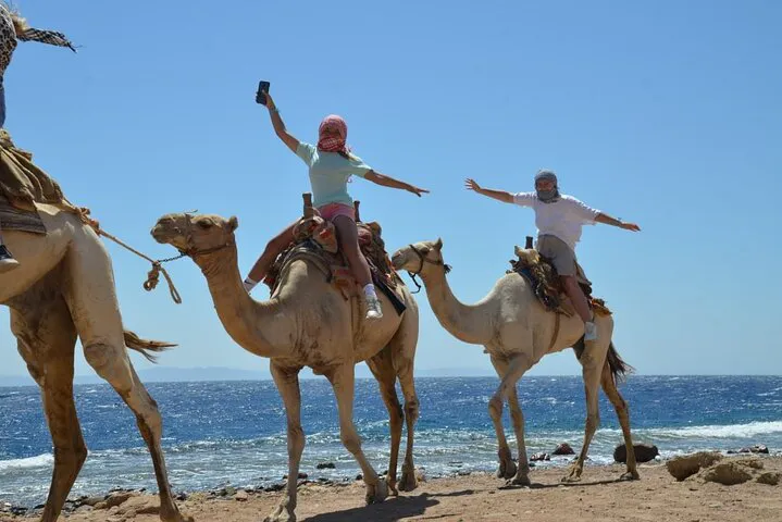 Salama Kızıl Kanyon Dahab