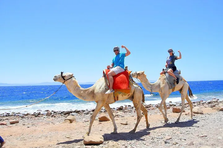 Salama Kızıl Kanyon Dahab