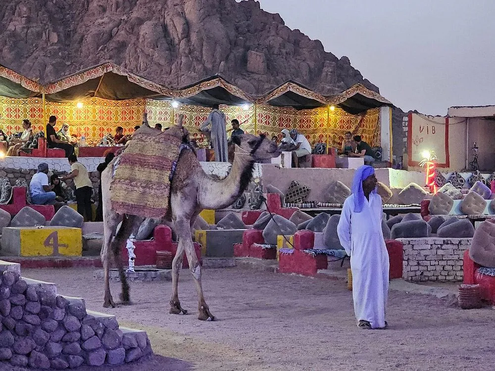 Super Safari a Sharm El Sheikh