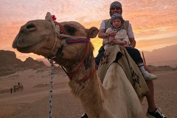 Super Safari a Sharm El Sheikh