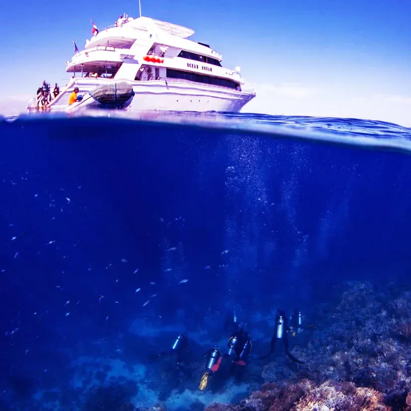 Gita in barca all'Isola di Tiran