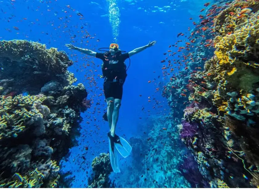Tiran Island yacht Sharm El Sheikh
