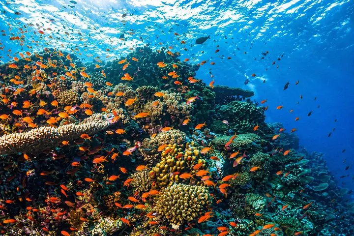 Tiran Island yacht Sharm El Sheikh