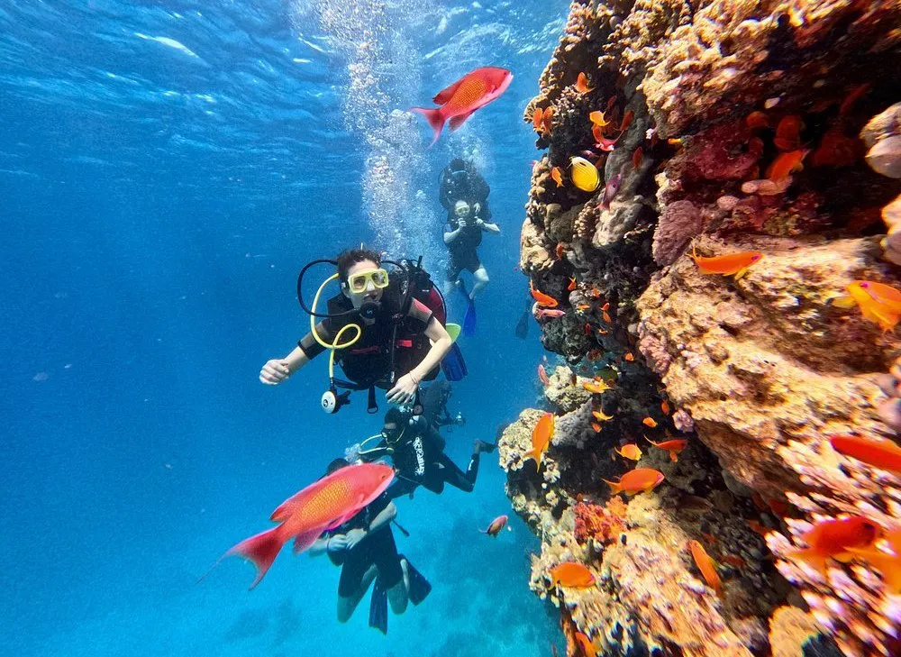 Tiran Island yacht Sharm El Sheikh