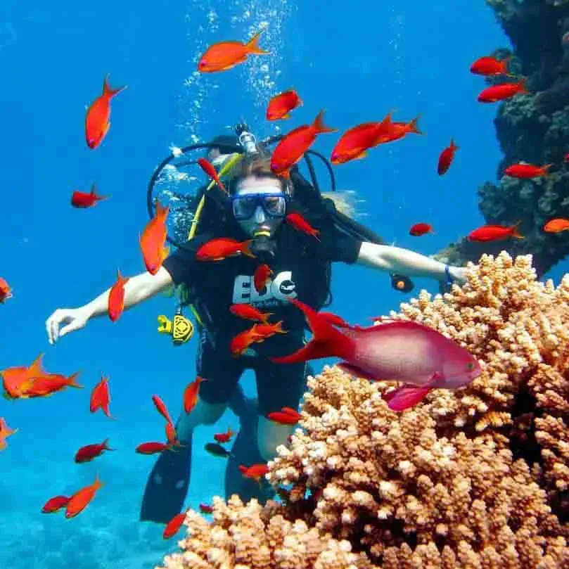 Tiran Island yacht Sharm El Sheikh