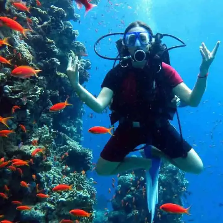 Tiran Island yacht Sharm El Sheikh
