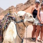 Экскурсии в Шарм Эль Шейхе